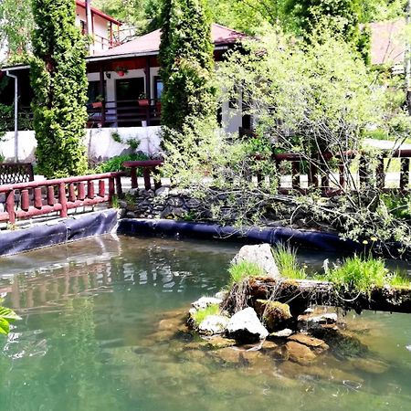 Vila Maria Bran Hotel Simon Exterior photo