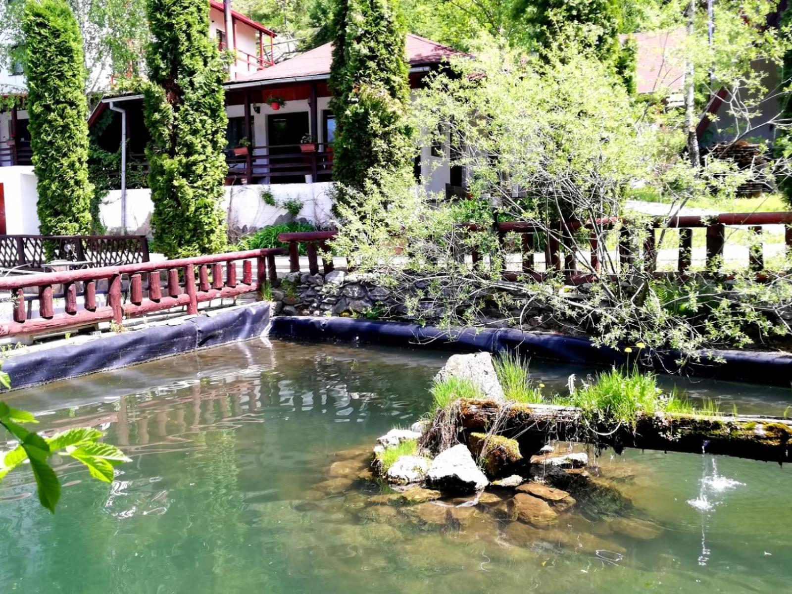 Vila Maria Bran Hotel Simon Exterior photo